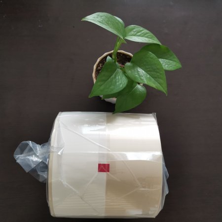 了解下摆药机分包纸的使用结构特点有哪些？